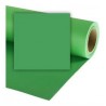 Fondo de papel verde CHROMA 2.75X10