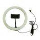 Aro de luz ring LED VANTA 10" pulgadas