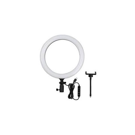 Anillo de Luz LED  de 30cm LR-120 GODOX